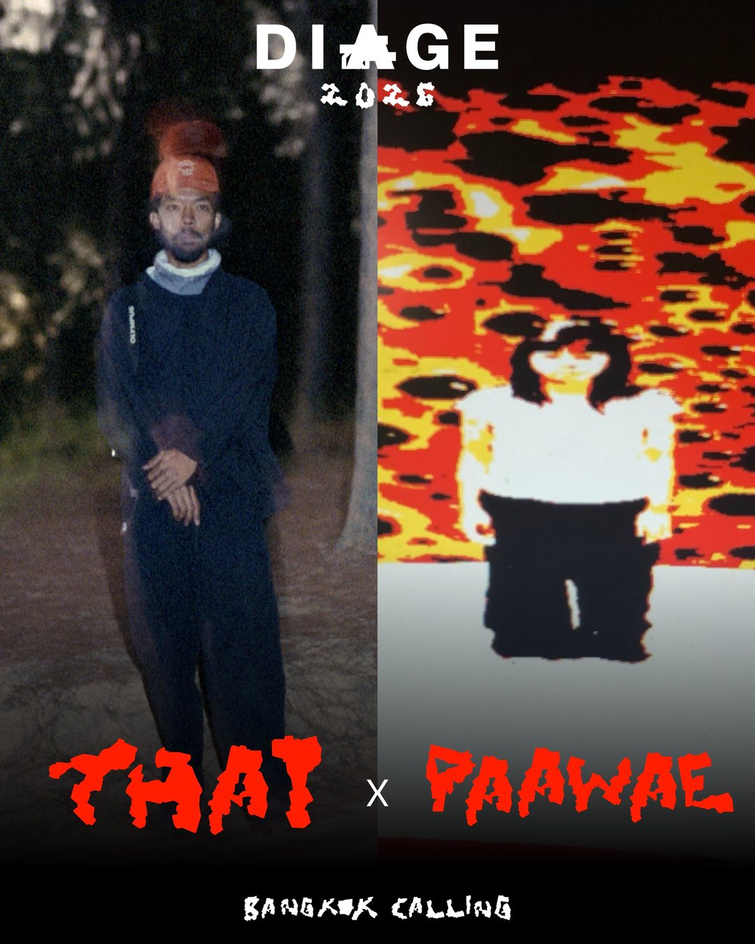 THA1 × PAAWAE